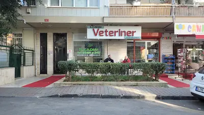 İlkadım Veteriner fotoğrafı