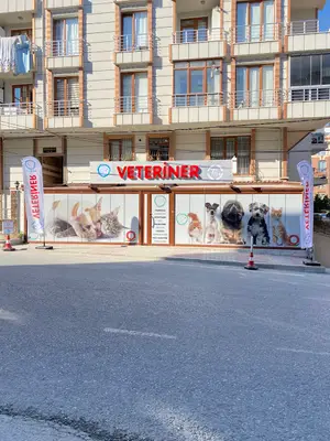 MERLİN VETERİNER KLİNİĞİ