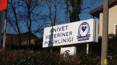 Anivet Veteriner Kliniği