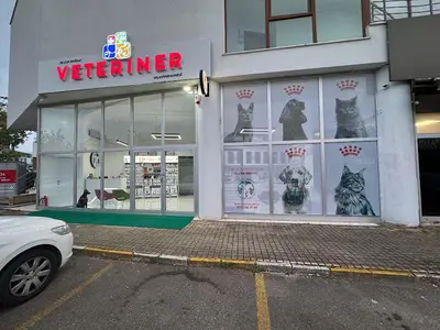 Selçuk Bağdat Veteriner Kliniği Kurtköy - Pendik