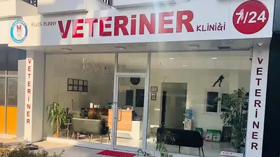 Bugs Bunny Veteriner Kliniği fotoğrafı