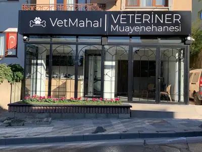 VetMahal Veteriner Kliniği