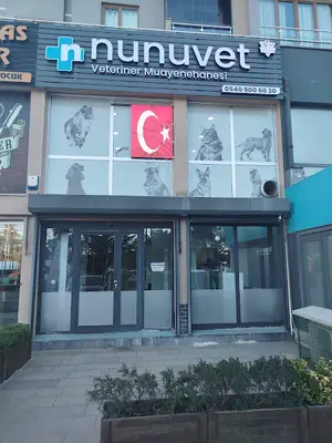 NİŞANTEPE NUNUVET Veteriner Kliniği