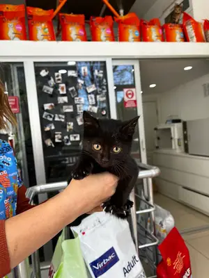 Sheila Veteriner Kliniği fotoğrafı