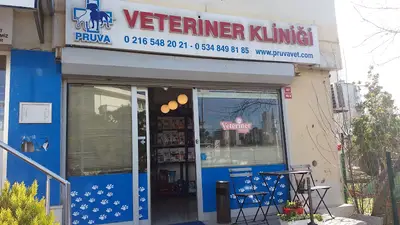 Pruva Veteriner Kliniği