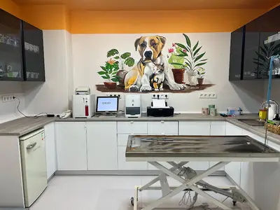 Kemerburgaz Voi Veteriner Kliniği