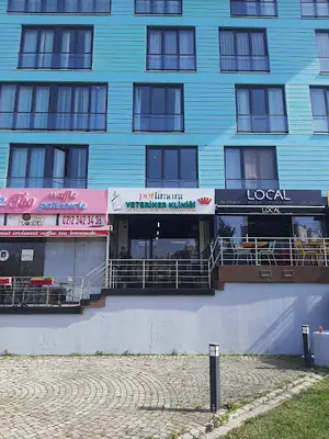 Petlimanı Veteriner Kliniği