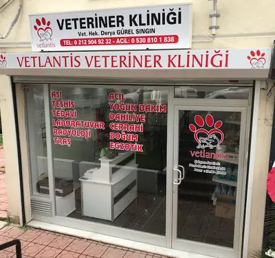 Vetlantis Veteriner Kliniği fotoğrafı