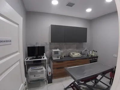 Vet4Pet Veteriner Kliniği fotoğrafı