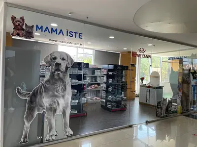 Mama İste