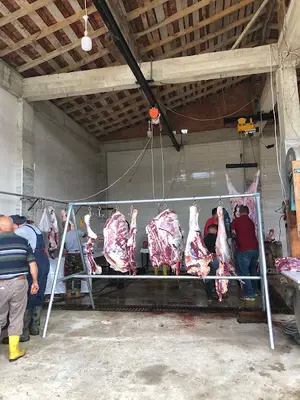 Sinop Halep Keçi Çiftliği