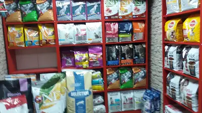 Büyükdere Pet Foods