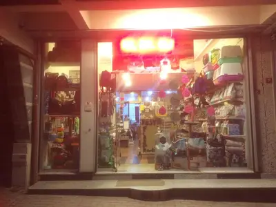 Gümüş Pet Shop 2