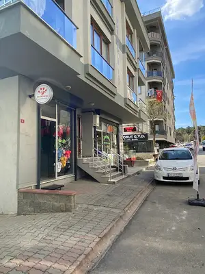 Petili Dünya
