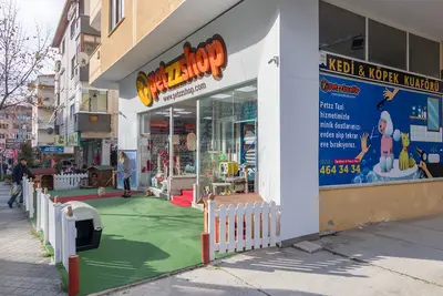 Petkolik