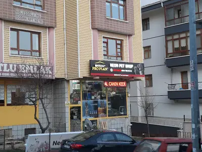 Neon Pet Shop