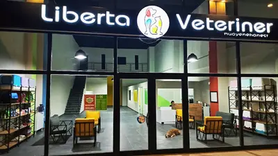 Liberta Veteriner Kliniği - Eryaman Veteriner fotoğrafı