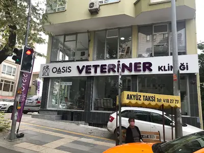 Oasis Veteriner Kliniği fotoğrafı