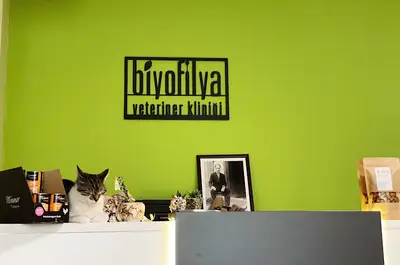 Biyofilya Veteriner Kliniği fotoğrafı