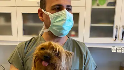 PetLove Veteriner Kliniği