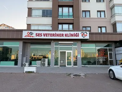 Ses Veteriner kliniği fotoğrafı