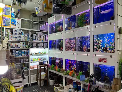 Yalçın Akvaryum & Pet Shop fotoğrafı