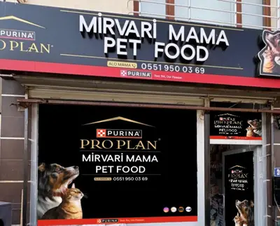 MİRVARİ MAMA