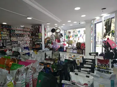Adalar Petshop