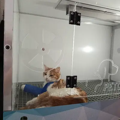 pakize veteriner hizmetleri fotoğrafı