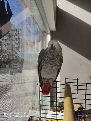 Elta petshop 2 fotoğrafı