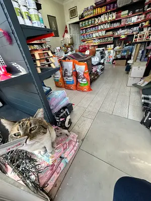 ZuZu Pet Shop