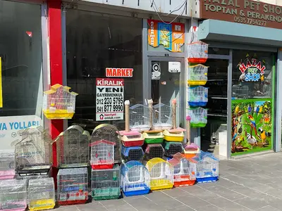 Hazal PetShop