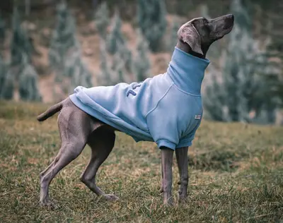Asky&Erd fotoğrafı