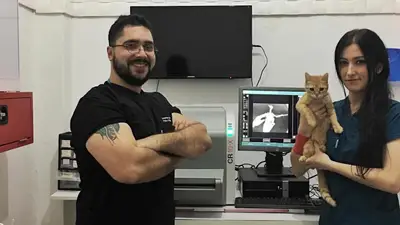 Bayrampaşa Terapi Veteriner