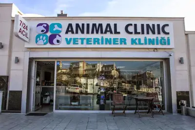 Animal Clinic Veteriner Kliniği 7/24 fotoğrafı