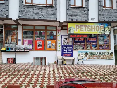 BERRİN PETSHOP