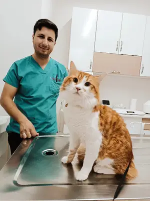 Minik Patiler Veteriner Kliniği