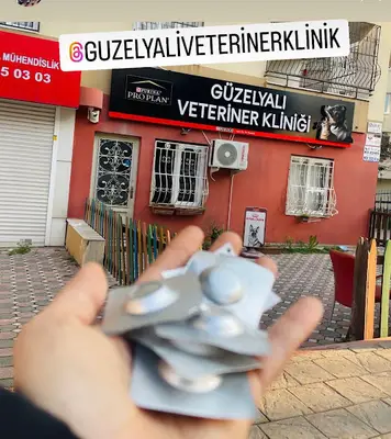 Güzelyalı Veteriner Kliniği