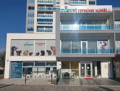 Miavet Veteriner Kliniği