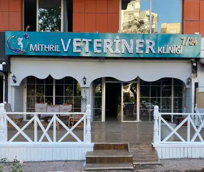 Mithril Veteriner Kliniği
