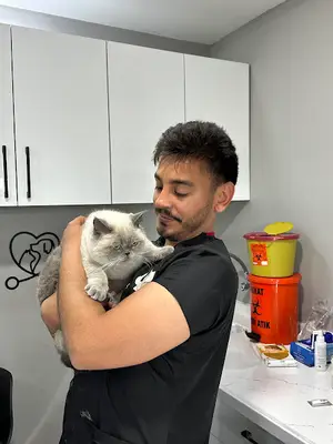 Yaşamkent-Alacaatlı Patia Nova Veteriner Muayenehanesi