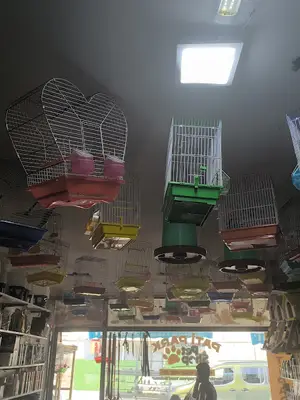 Pati Park Petshop
