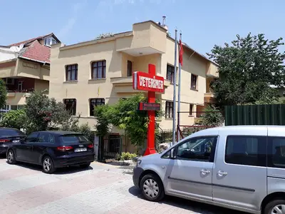 ŞENLİKKÖY VETERİNER KLİNİĞİ