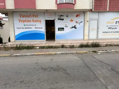 REİS HOBİ ÜRETİM