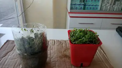 Yeni Vadi Veteriner Kliniği