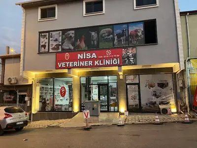 Veteriner Hekim Özgür Nizamoğlu