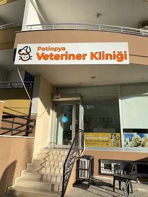 Patiopya veteriner kliniği