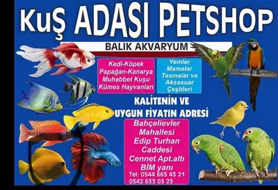 Muhabbet Pet Shop
