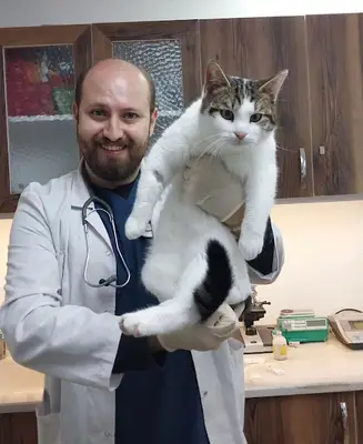Minik Patiler Veteriner Kliniği fotoğrafı