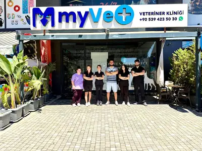 My Vet Veteriner Kliniği (since 2017)